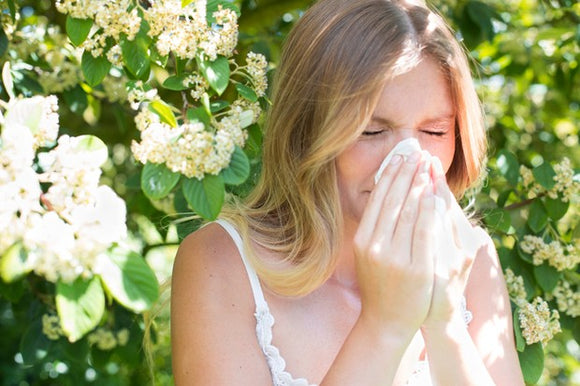 Hay Fever, Allergy & Sinus Relief