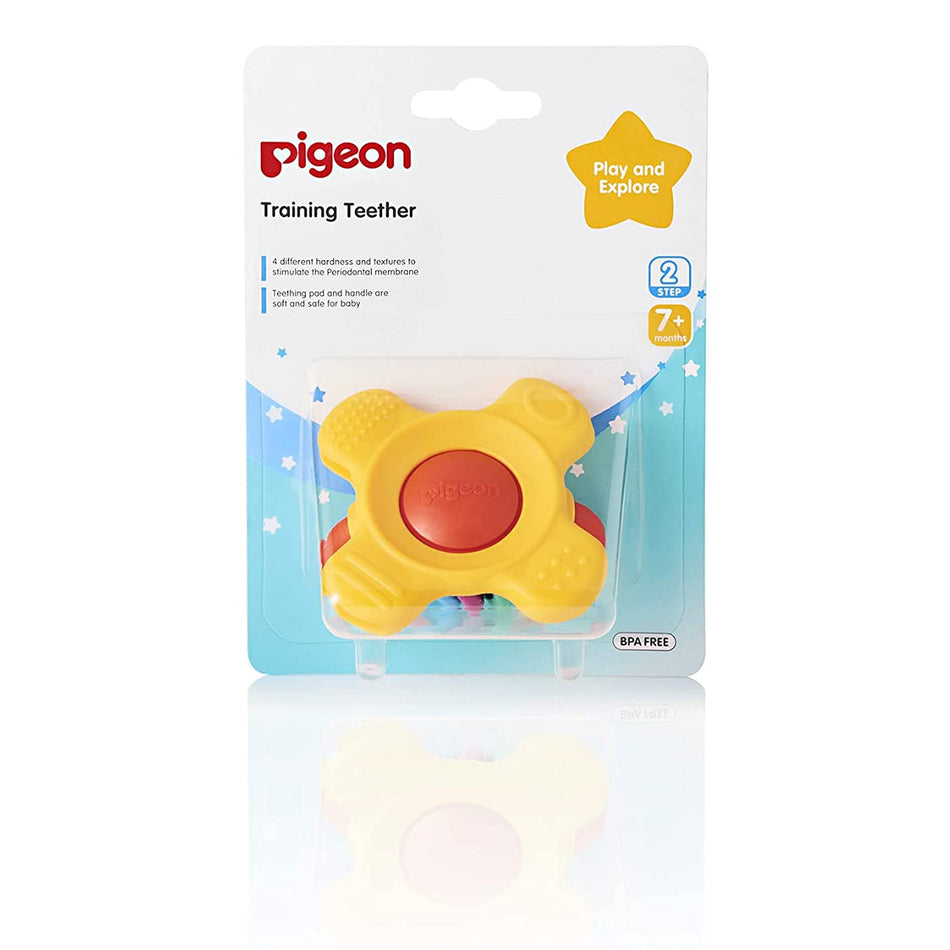 Pigeon Training Teether Step 2