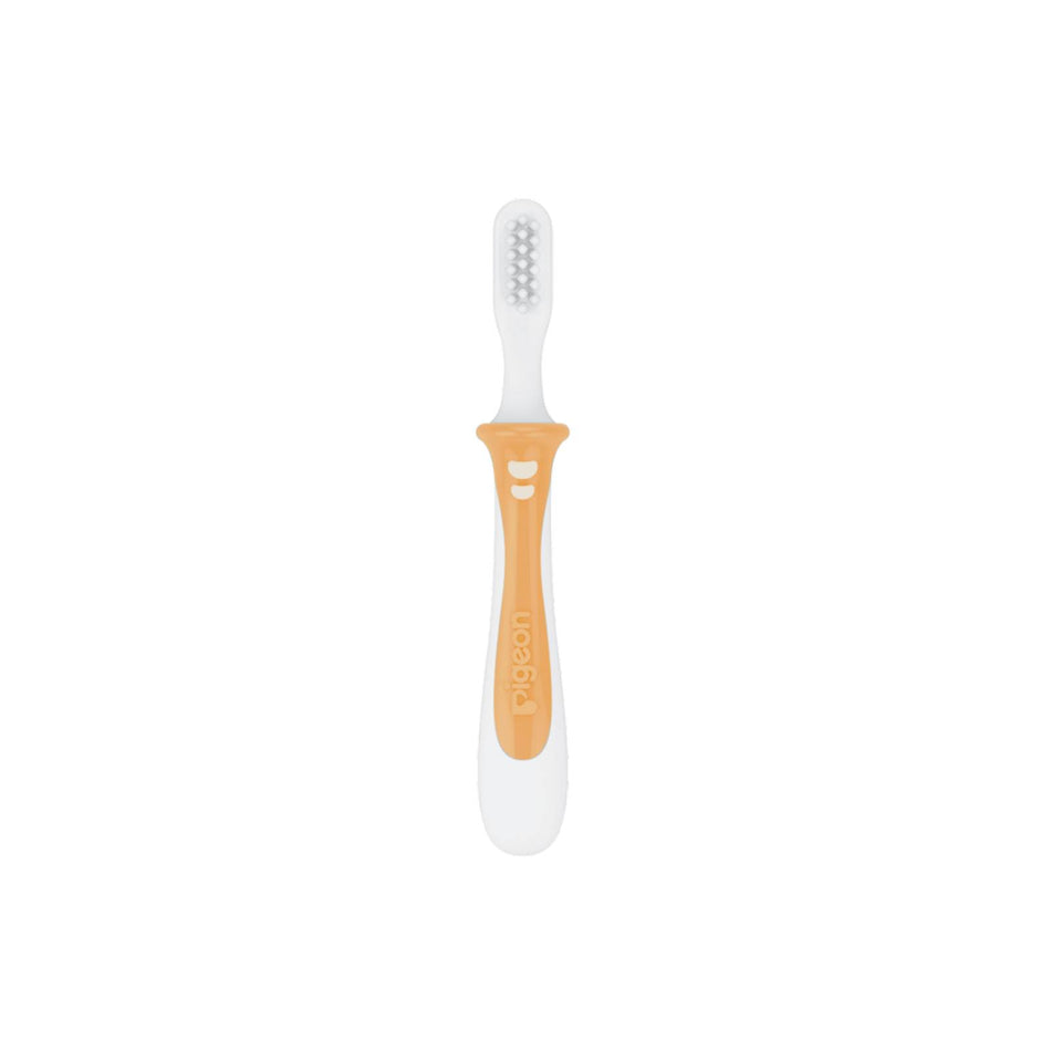 Pigeon Training Toothbrush Step 2