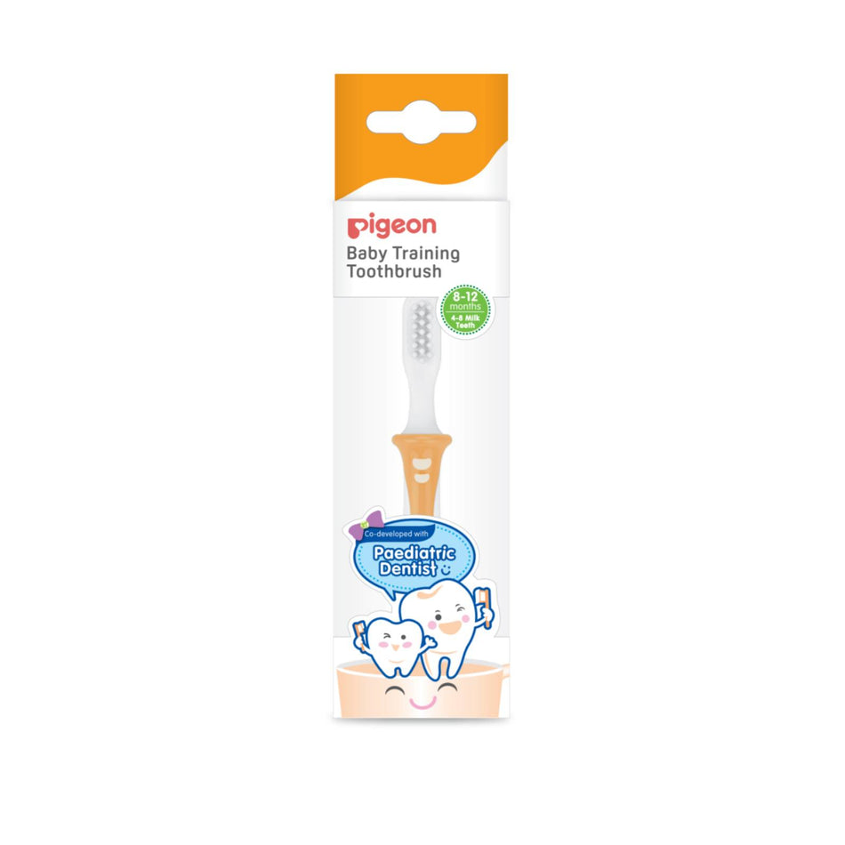 Pigeon Training Toothbrush Step 2