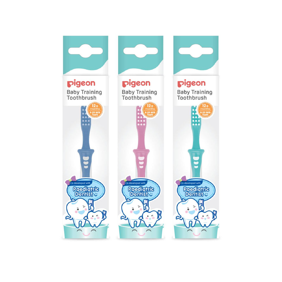 Pigeon Training Toothbrush Step 3